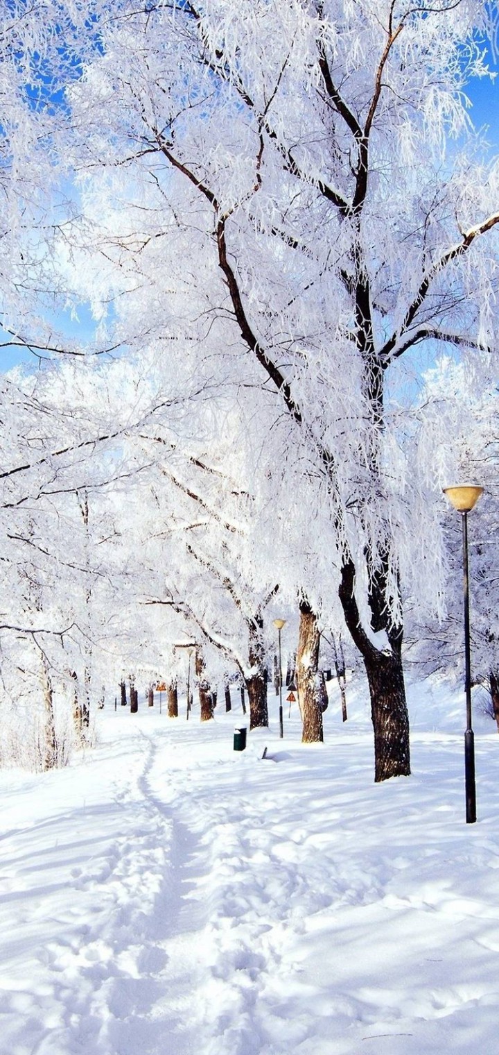 Schneelandschaft