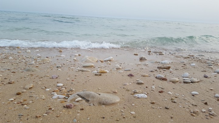 beach