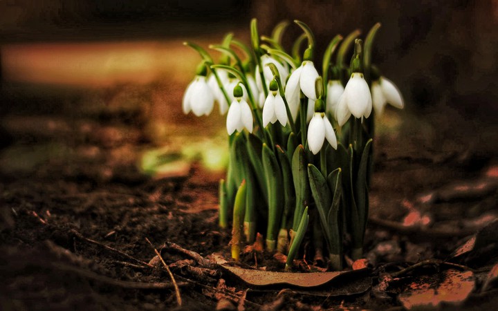 Nature's beauty