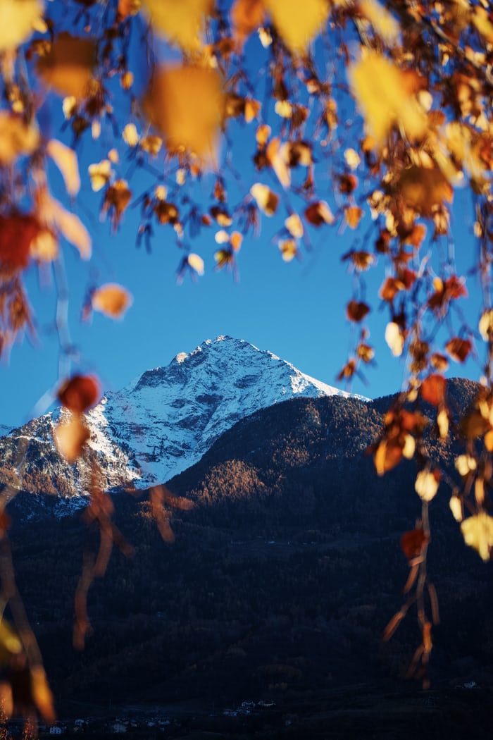 Mountain