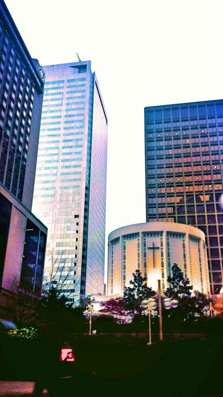 Lights of the City