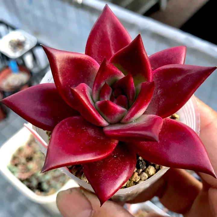❤