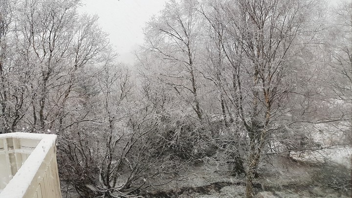 Winter