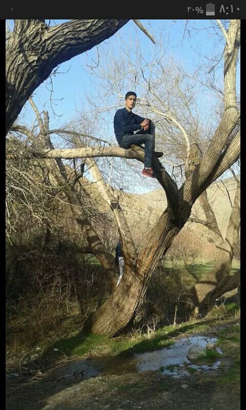 jungle