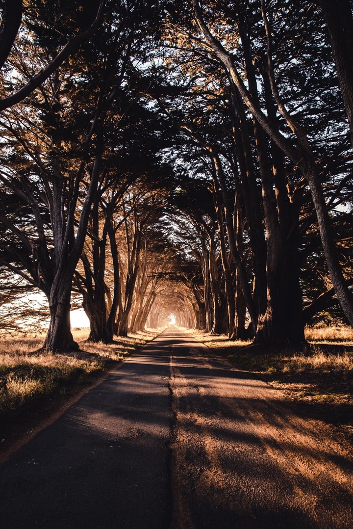 the way