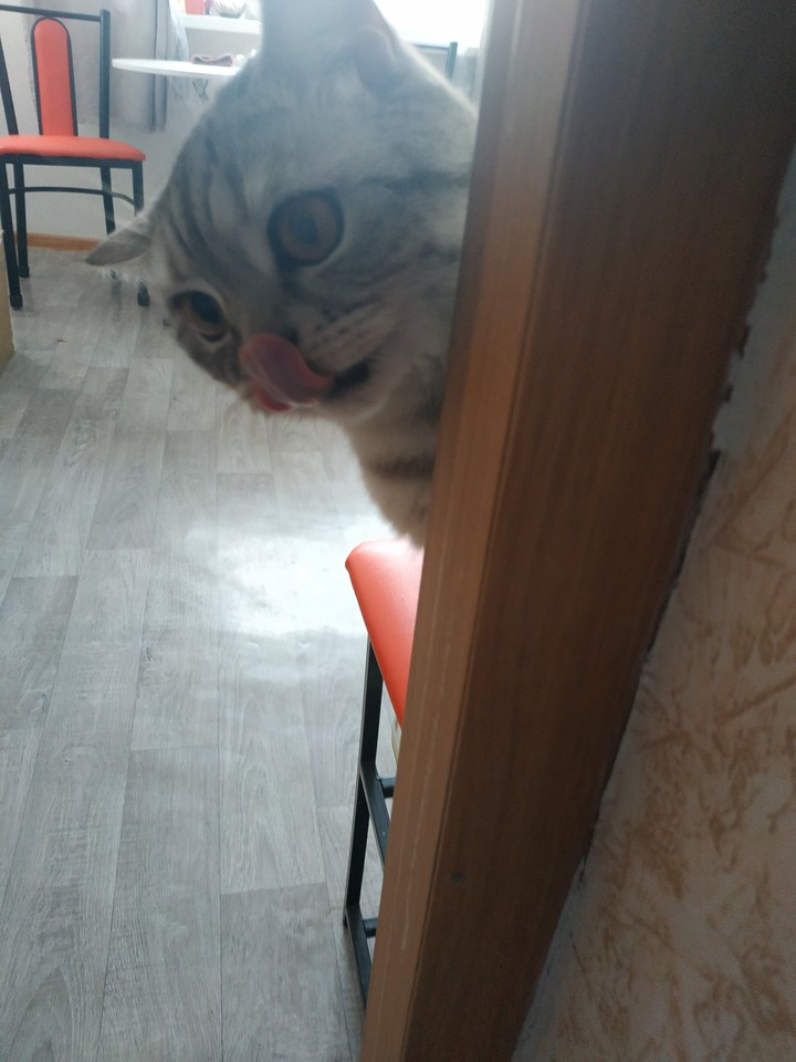 Джемик