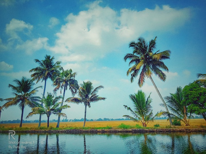 Kerala backwaters