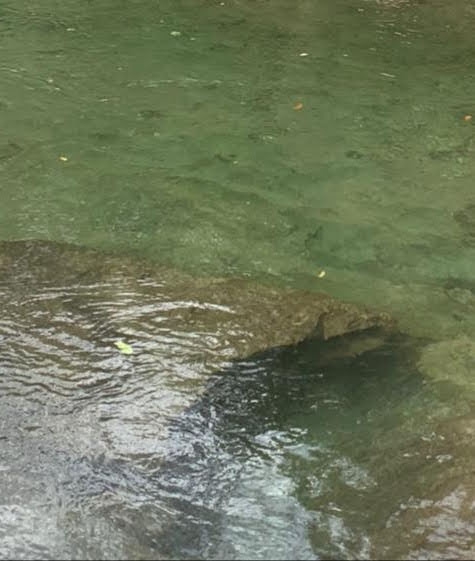 Chapada dos Guimarães,maravilhosa.
