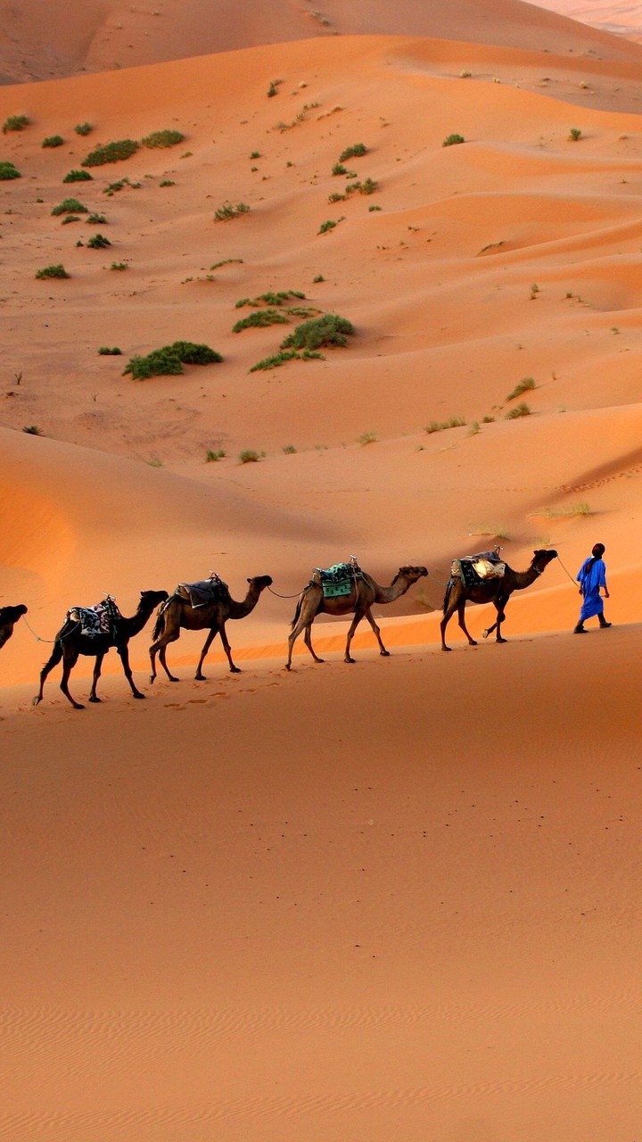 Desert K S A