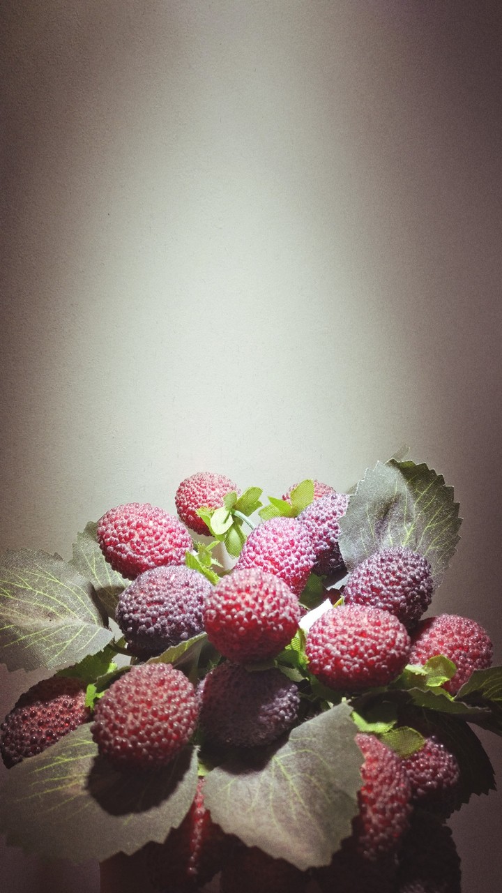Cherry