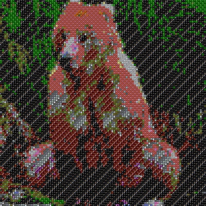 bear