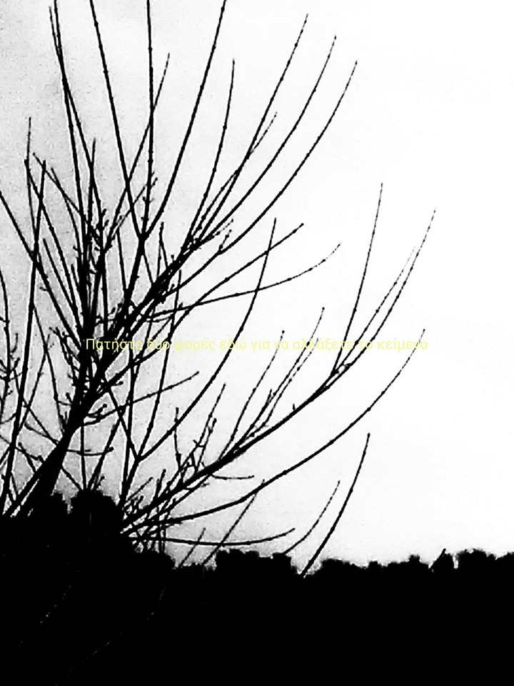 winter and tree