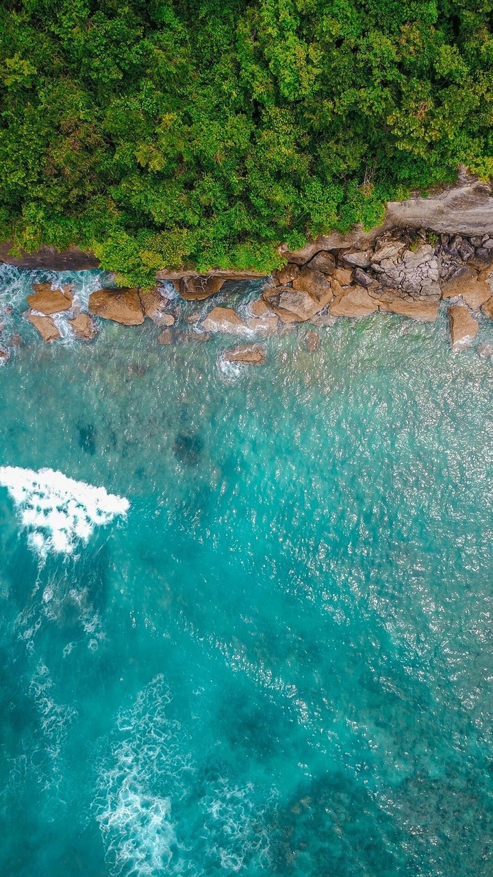 The Beauty of Nature.