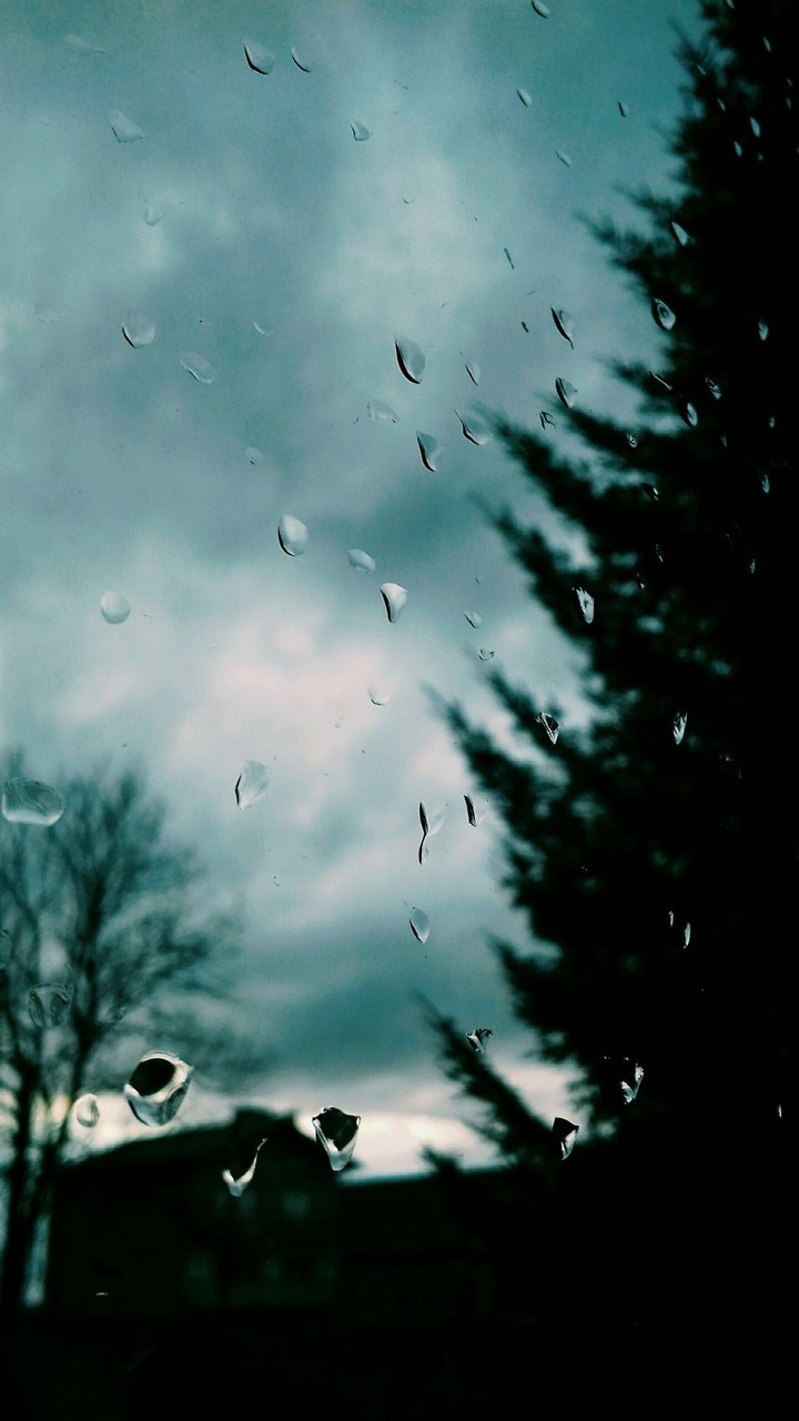 Rainy