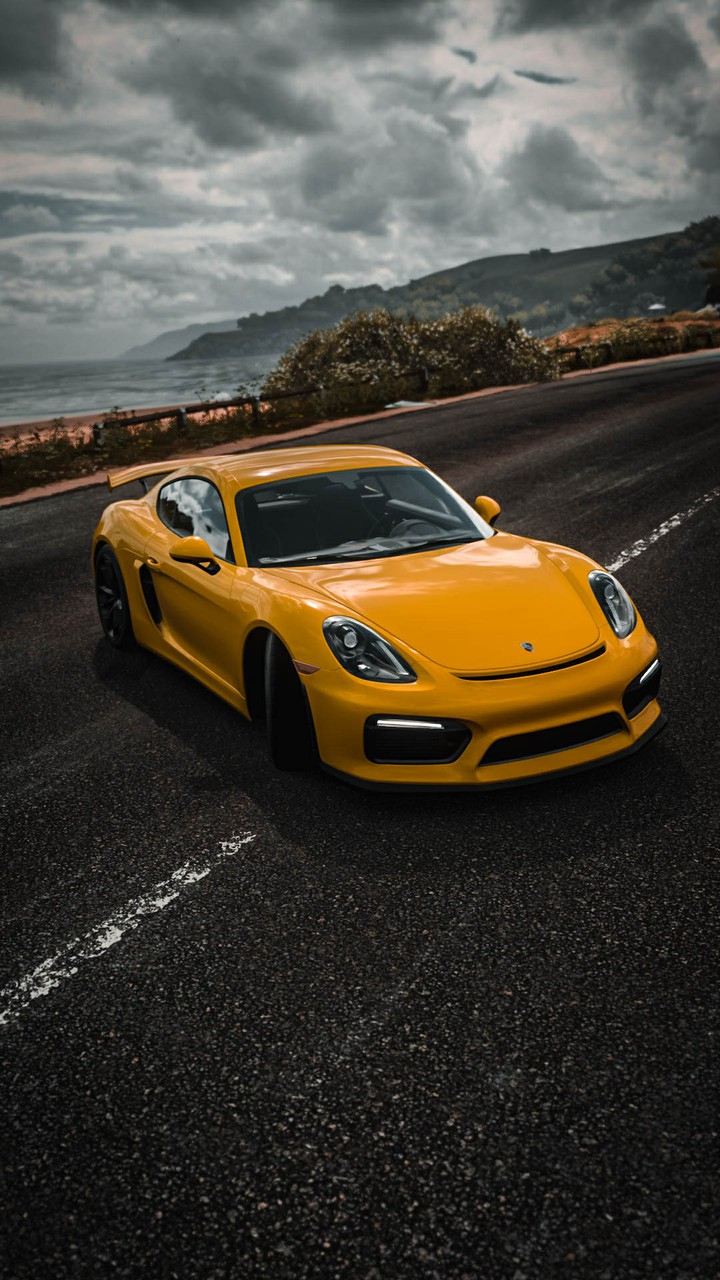 Porsche