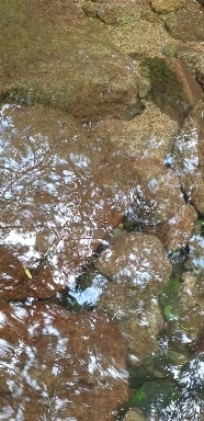 In Bukhansan Valley in Korea