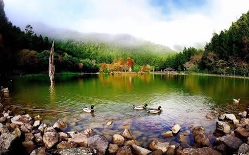 nature