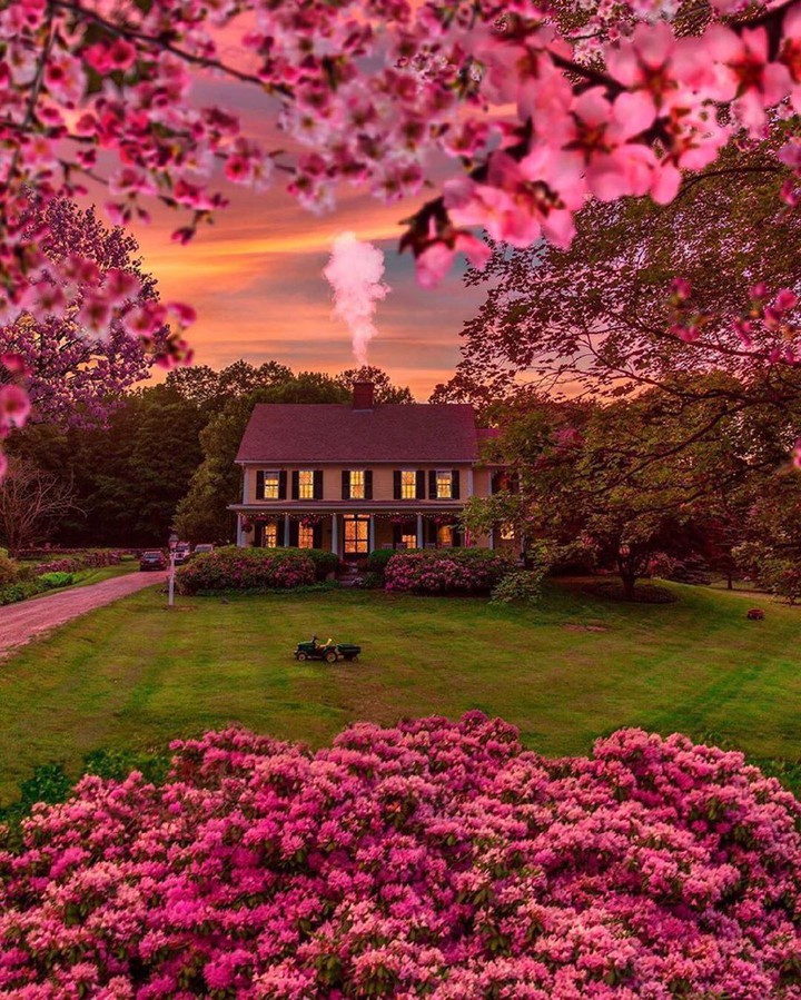 Nature _ House_ Garden