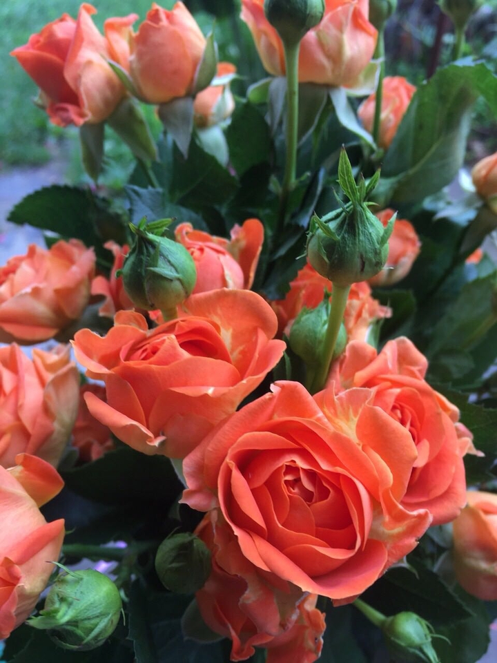 ❤️