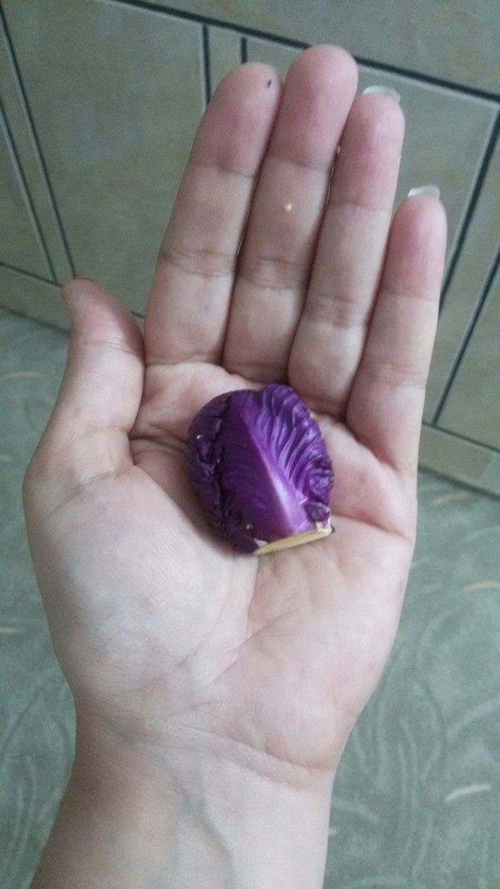 مینیاتوری
