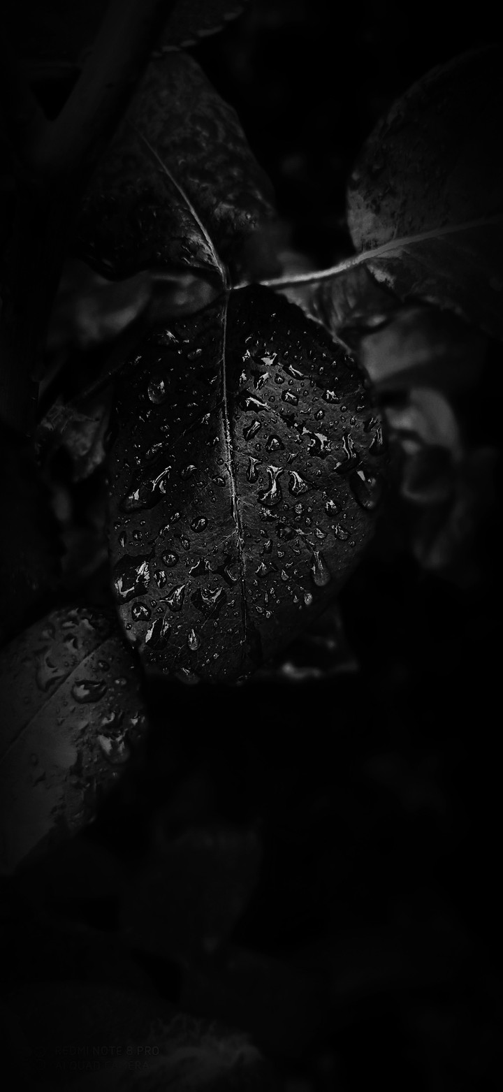 black