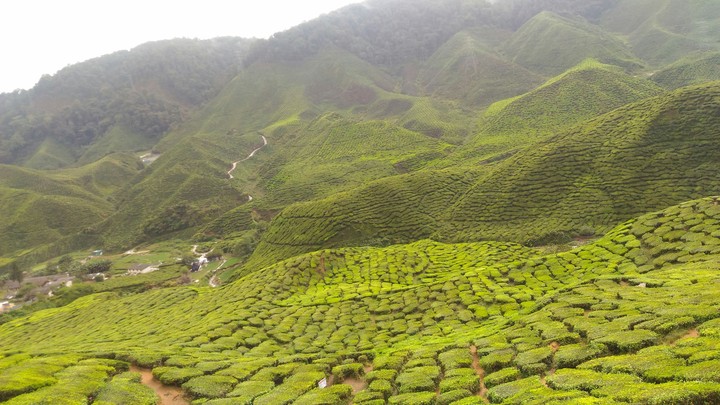 Beautiful Malaysia