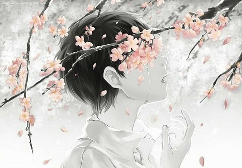 illustration, blossom桌布