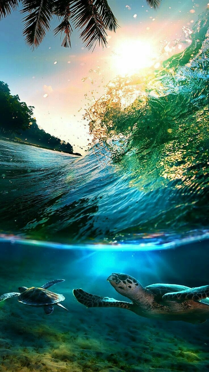 Water life