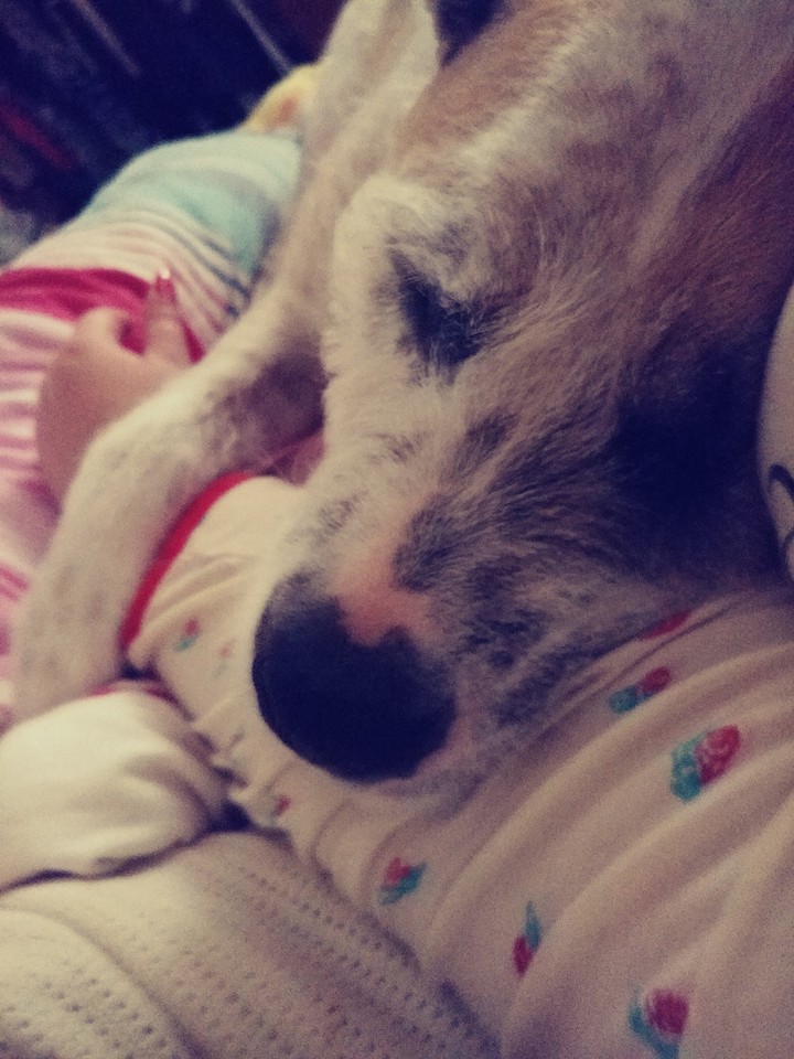 Wally 