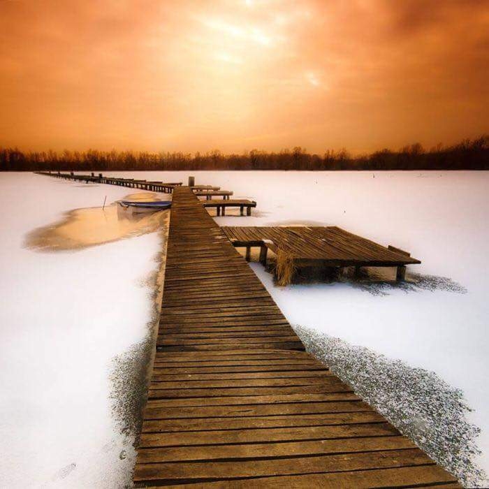 Nature pic