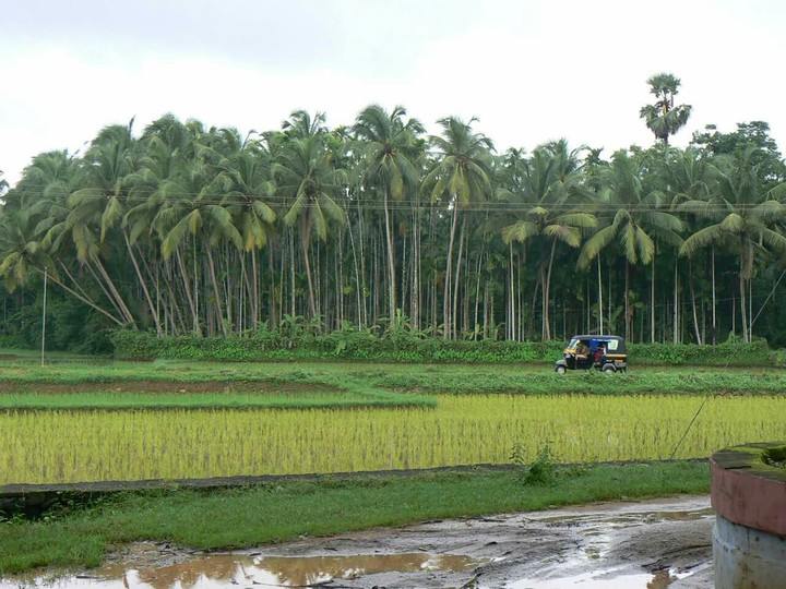 Travel