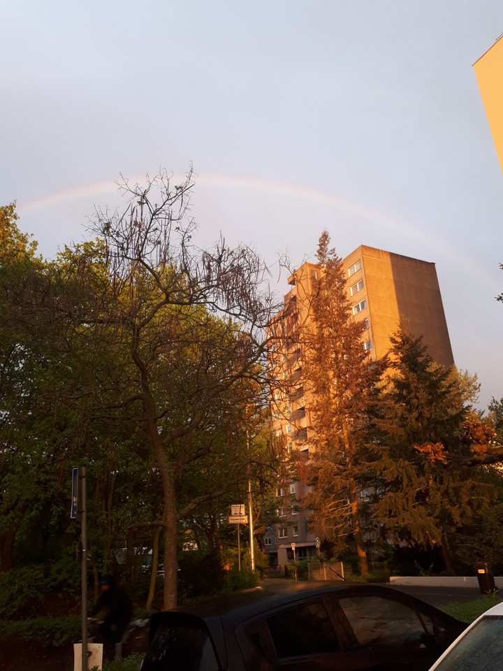 Rainbow in the city
