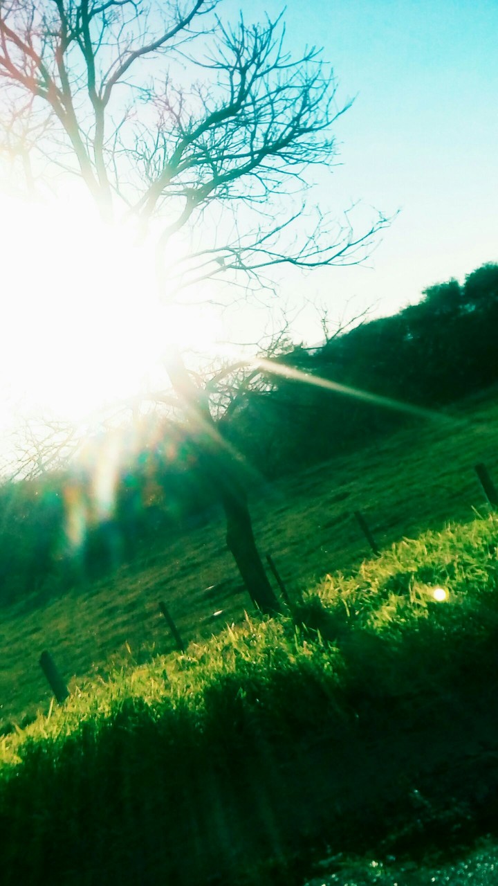 bright sun..