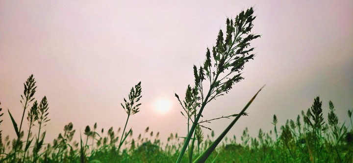 sun set