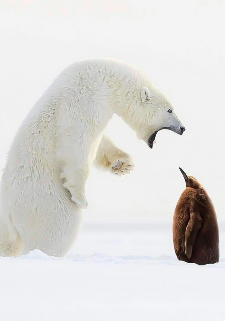 Shut Up or Get EATEN