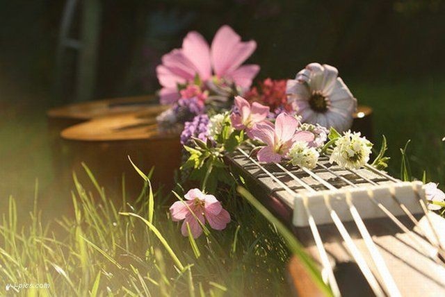 ~❤✿..GUITAR..✿❤~