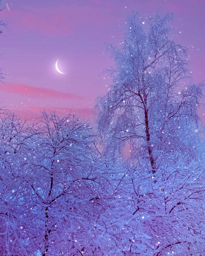 nieve
