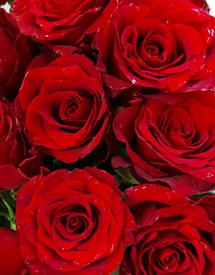 flowers