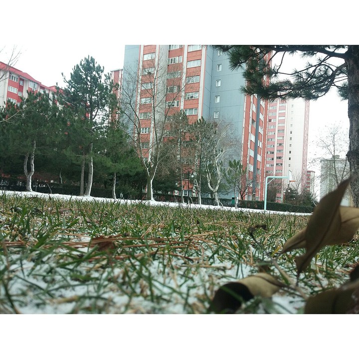 Winter