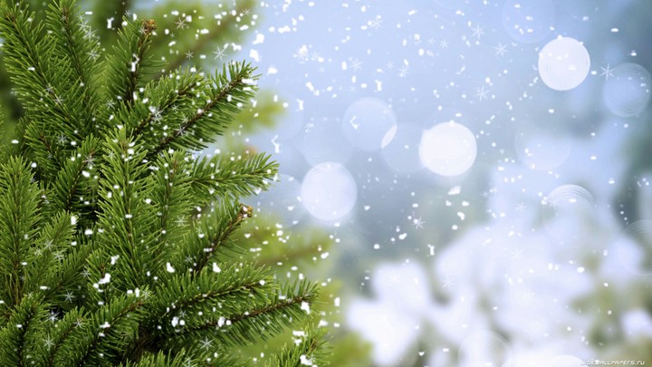 Winter
