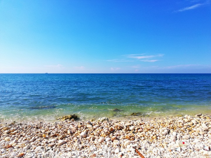Tartous sea