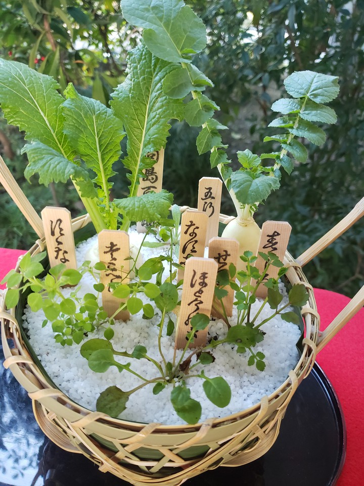 flowerpot
