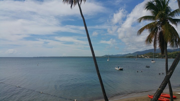 Paradise