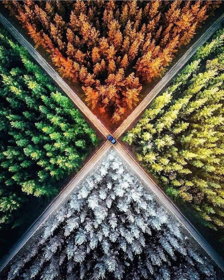 Seasons