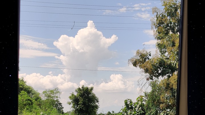 Elephant..