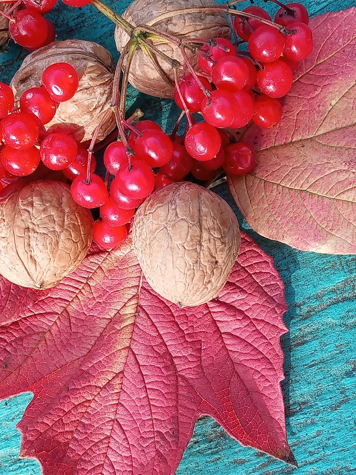 autumn colours