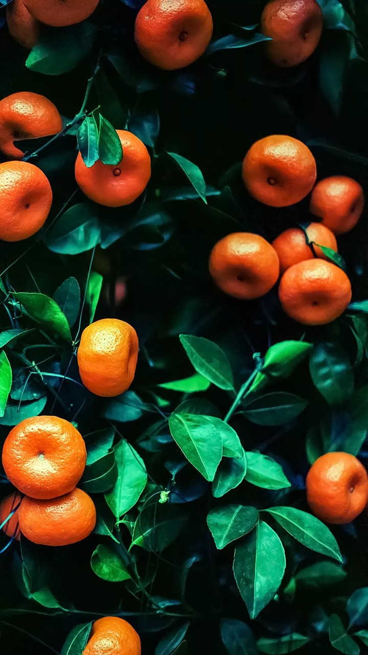 orange