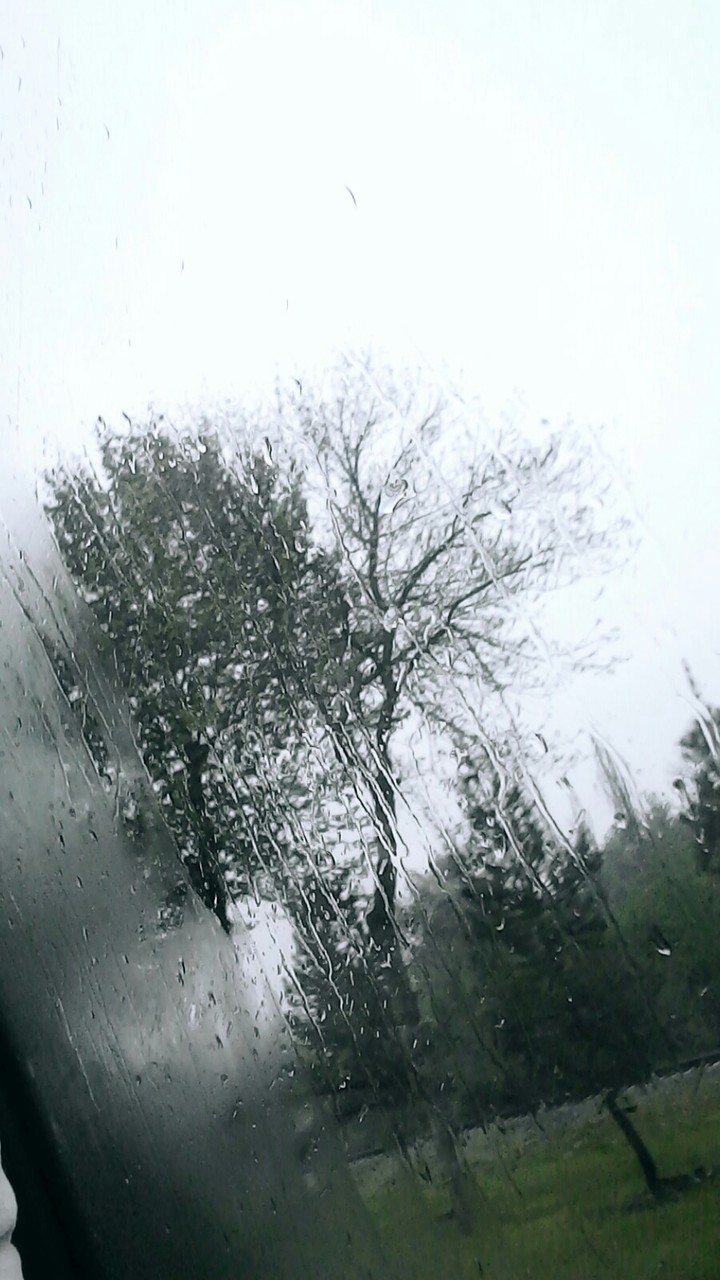 rain