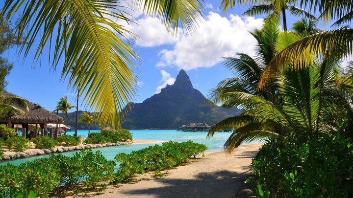 exotic bora bora