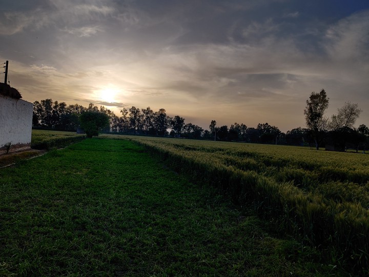 sunrise